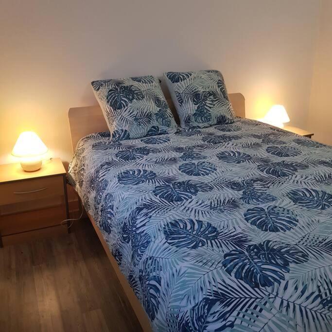 Chez Nino Wifi Gratuit Villa Beaulieu-sur-Loire Ngoại thất bức ảnh